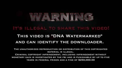 Alina Belle Alex Taylor Blake Amateur Allure